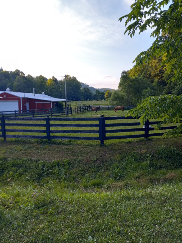 a lush green Kentucky horse farm