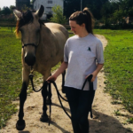 woman leads a trusting horse